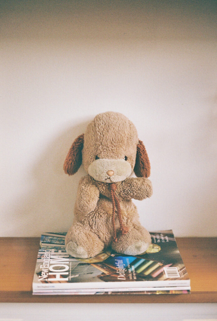 Groom's teddy bear on display on bookshelf at boutique hotel wedding. Photo by Rhode Tripper Photography